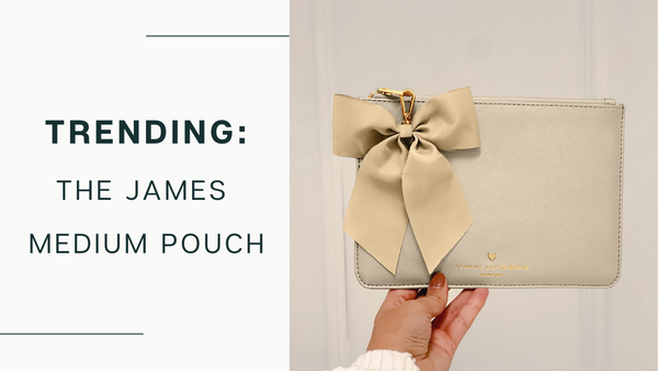 TRENDING: THE JAMES POUCH